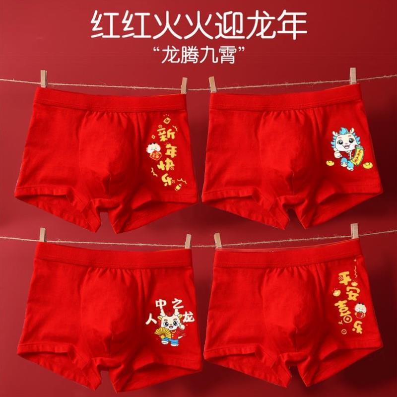 红色岁内衣套装短裤12本命年龙年大童男孩内裤2024儿童红纯棉男童