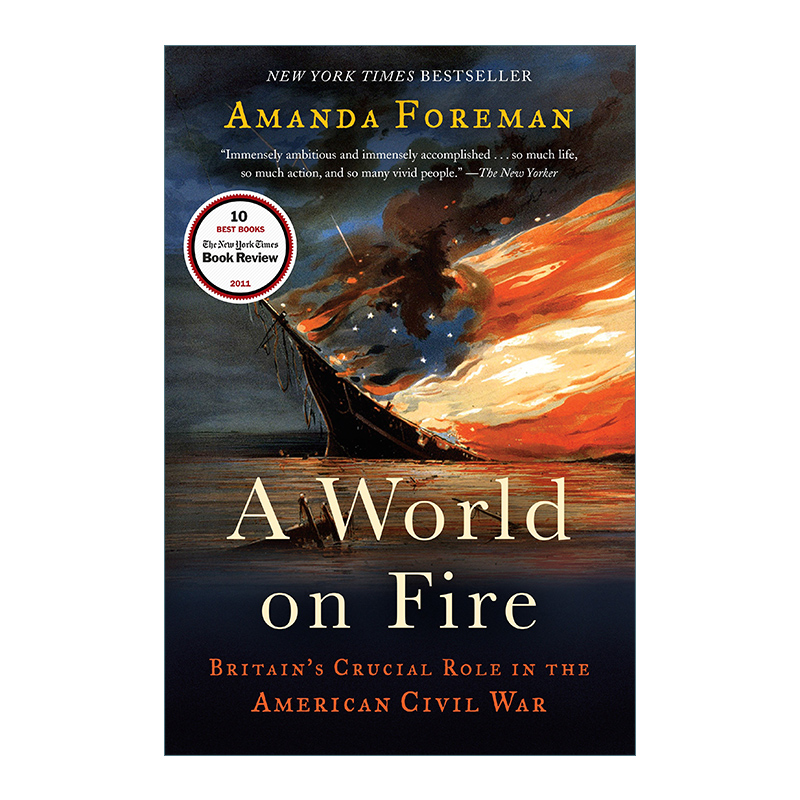 英文原版 A World on Fire 燃烧的世界 英国在美国内战中的关键作用 历史 Amanda Foreman 英文版 进口英语原版书籍