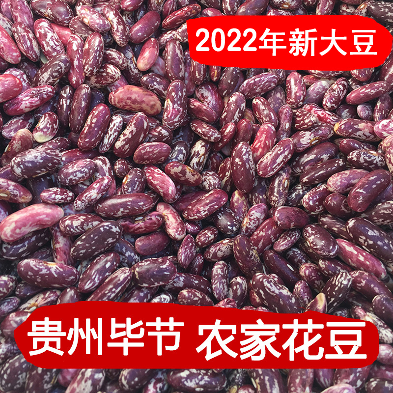 贵州特产精选新花豆紫花芸豆大花红豆四季豆酸汤豆米杂粮 2斤包邮