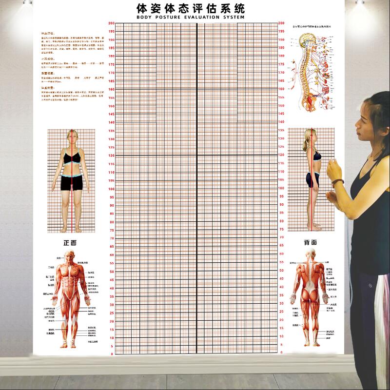 体态评估表墙贴健身房体测网格纸瑜伽馆私教姿势体位背景墙体姿图