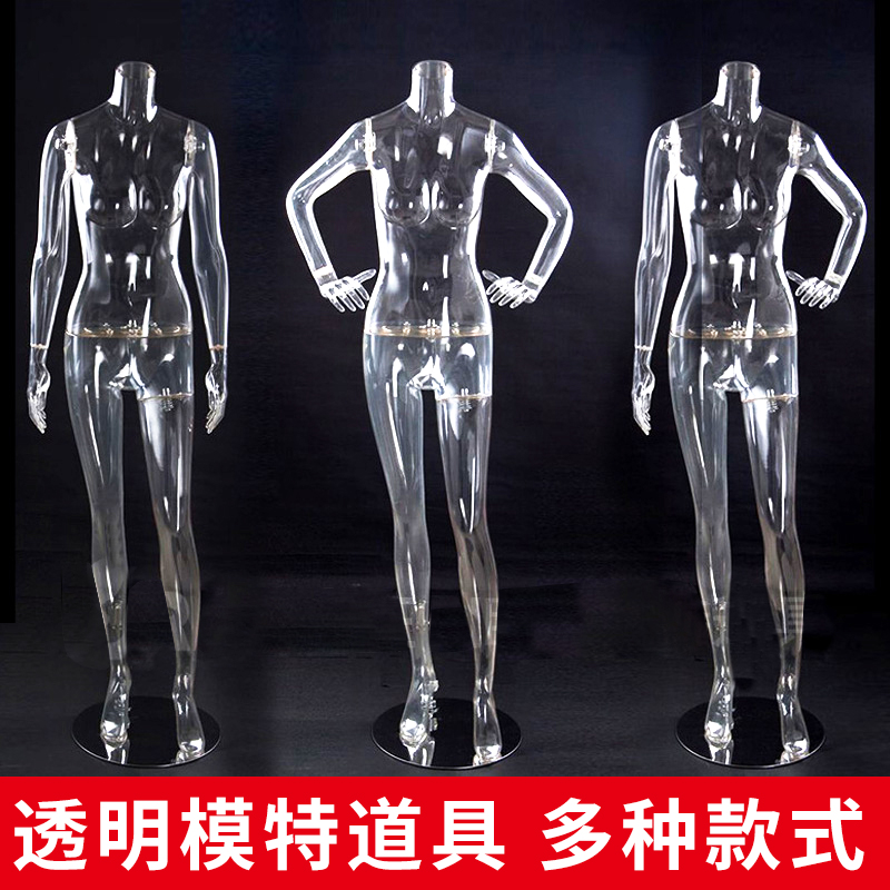 新款透明假模特 3D立体拍照男女全半身道具方形底座 内衣裤胸臀模