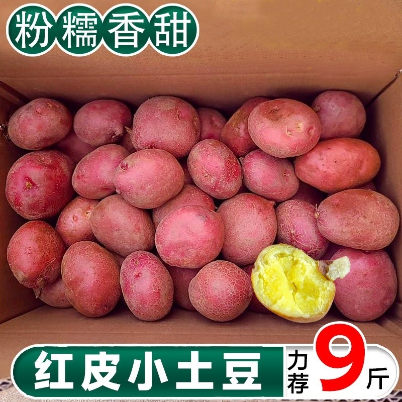 云南红皮黄心土豆10斤包邮新鲜小土豆农家蔬菜洋芋自种马铃薯批发