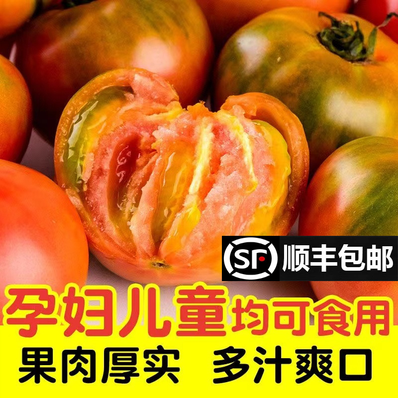丹东铁皮草莓油柿子新鲜西红柿生吃小番茄东北碱地绿腚5斤顺丰包3