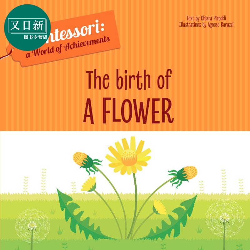 蒙台梭利绘本系列 Montessori Birth of a Flower 一朵花的诞生英文原版进口图书 儿童绘本图画书 植物启蒙纸板书 蒙氏 又日新图书