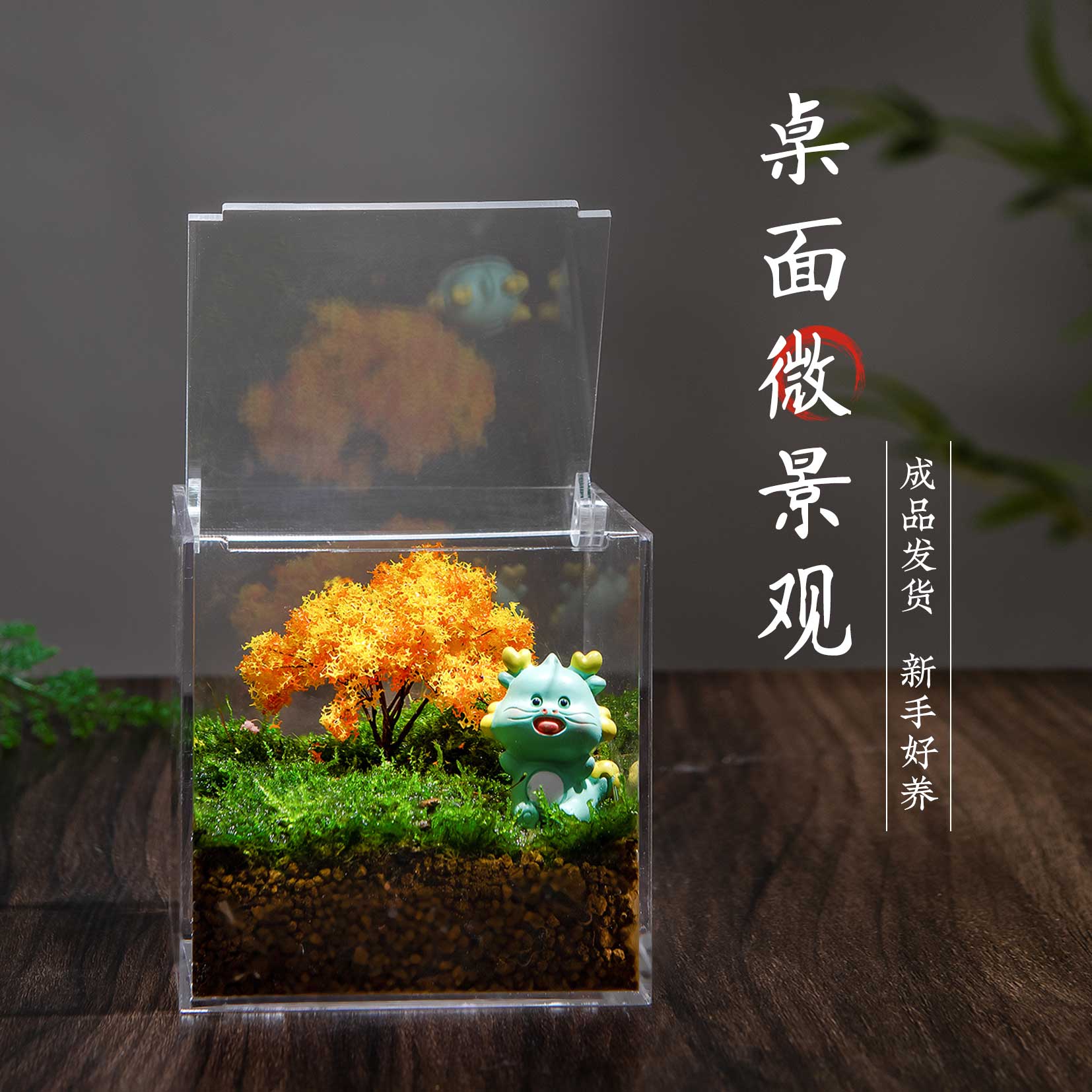 苔藓微景观生态瓶成品盆栽玻璃绿植盆景鱼缸微景观治愈系礼物摆件