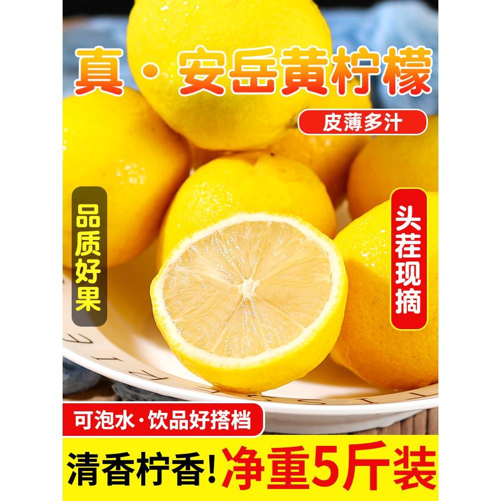 四川安岳黄柠檬新鲜皮薄多汁一二三级奶茶店专用商用香柠檬青