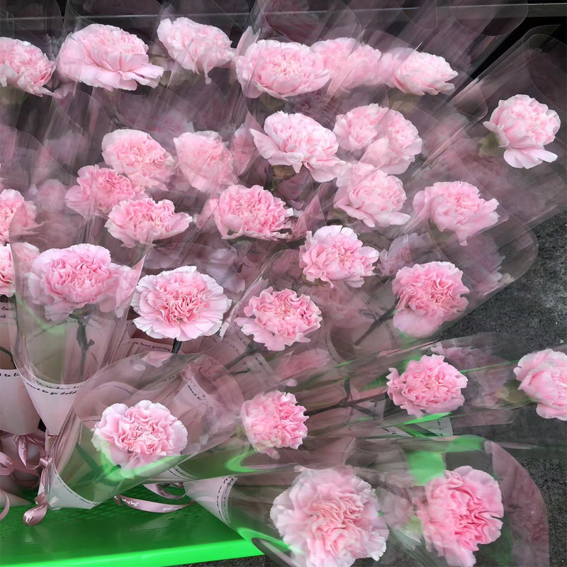 母亲节520鲜花速递广州粉色康乃馨单支小花束红玫瑰一朵包装全国