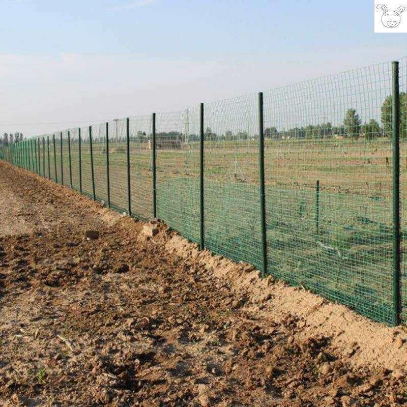 直销家用鸭子养羊农场菜地果园围栏网园艺围墙网子大号球场防护栏