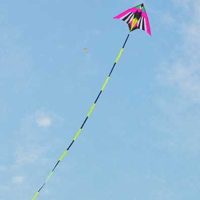 潍坊飞悦新款成人大型三角风筝1.5 2.3 3.5钻天燕子微风易飞风筝