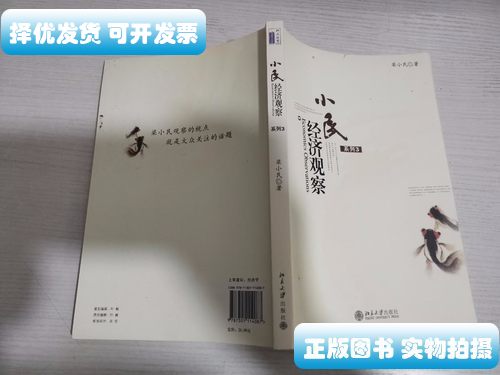8成新小民经济观察 系列3 梁小民着 北京大学出版社