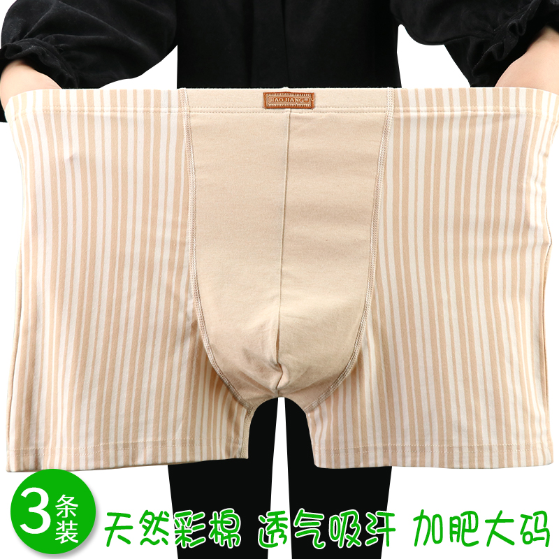 中老年人纯棉男士高腰平角内裤3条装天然彩棉加肥加大码四角裤头