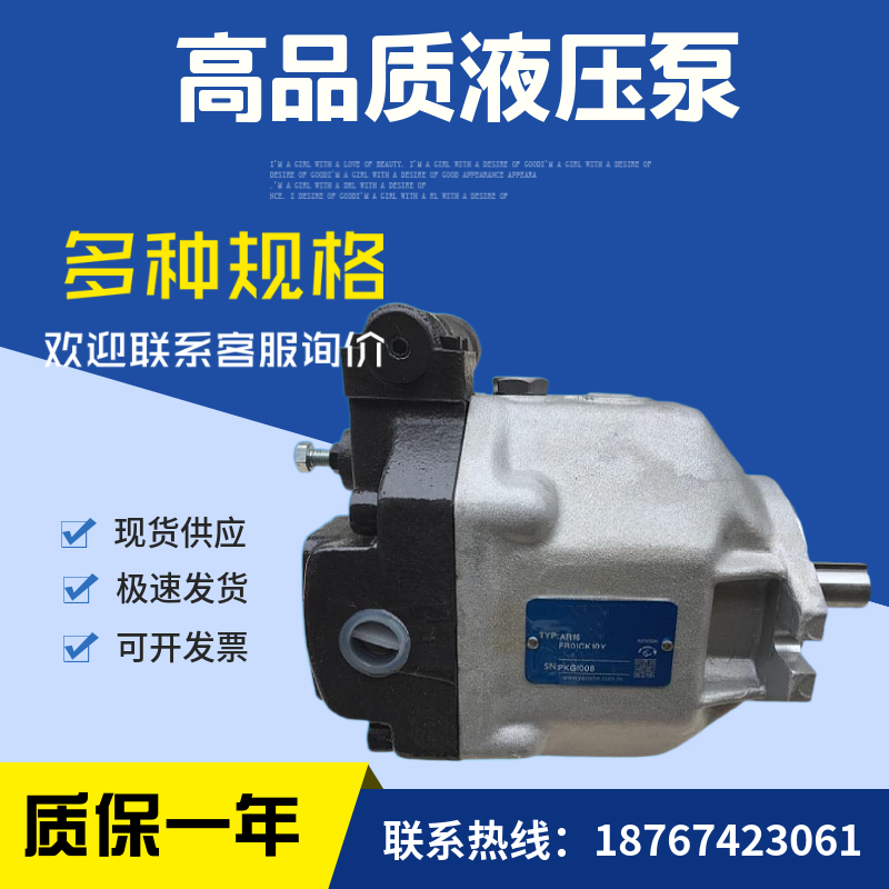 台湾柱塞泵AR16FR01CK10Y-1005油泵AR16FR01BK10Y-1005